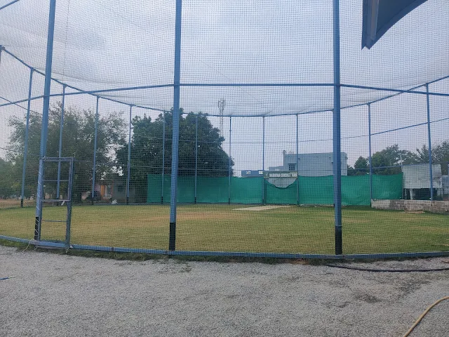 Turf photo 6