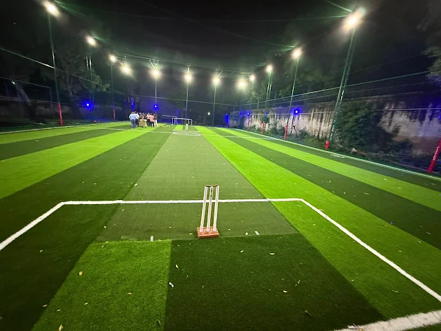 Turf photo 2