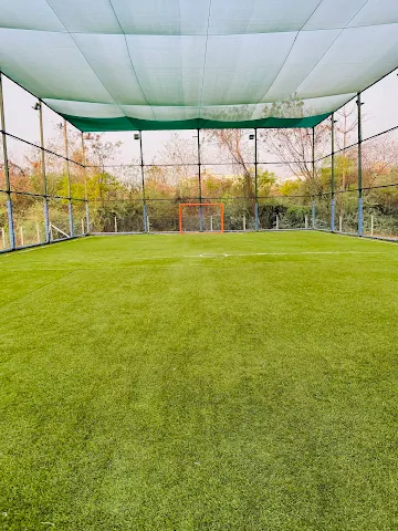 Turf photo 2