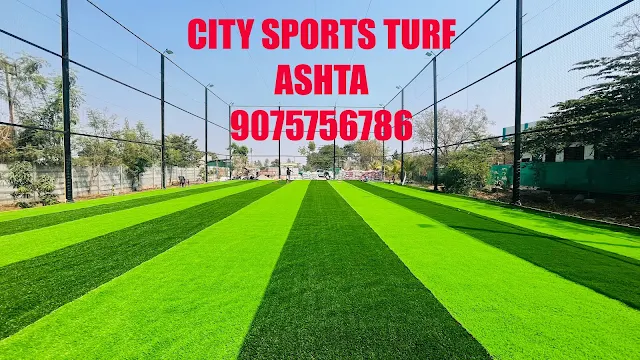 Turf photo 2