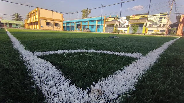 Turf photo 4