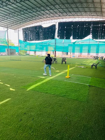 Turf photo 2