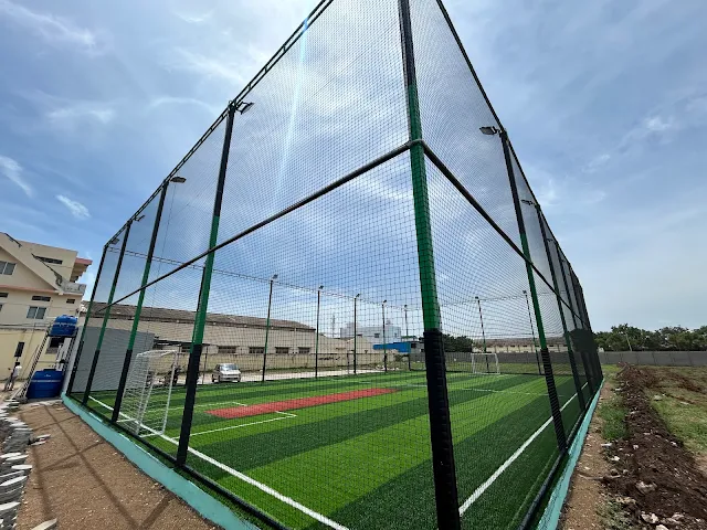Turf photo 6