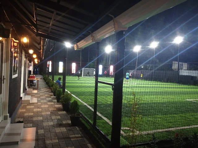 Turf photo 8