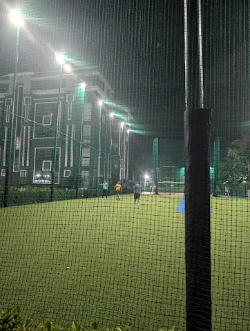 Turf photo 3