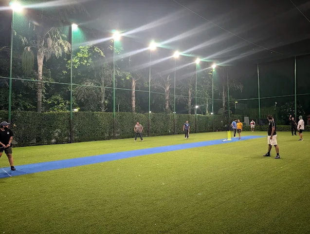 Turf photo 2