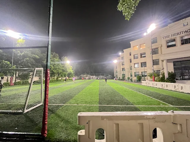 Turf photo 2