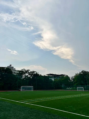 Turf main photo