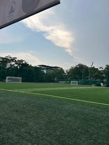 Turf photo 3