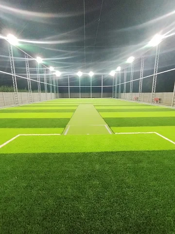 Turf photo 5