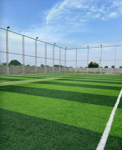 Turf photo 7