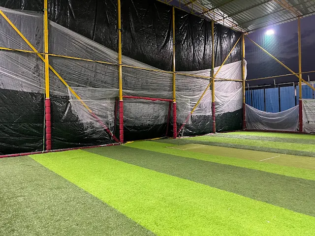 Turf photo 6