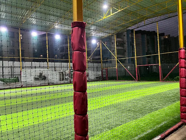 Turf photo 3