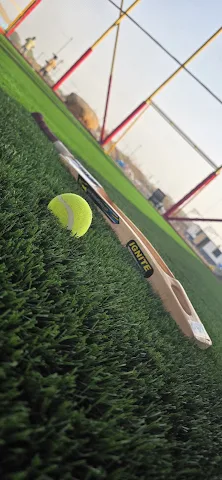 Turf photo 4