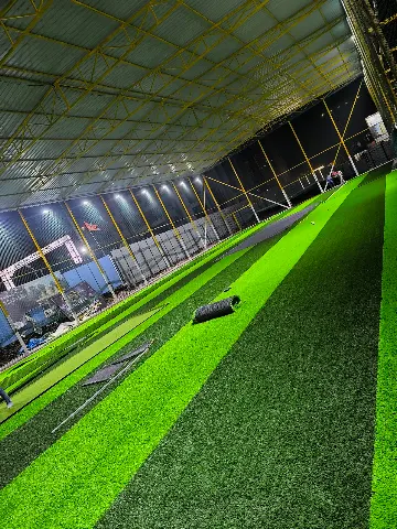 Turf photo 5