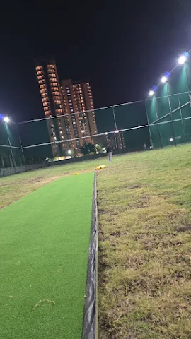 Turf photo 6