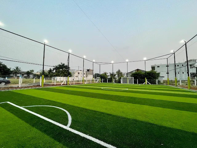 Turf photo 3