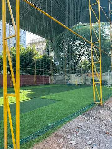 Turf photo 3