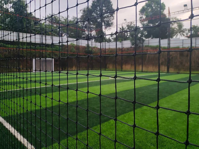 Turf photo 2