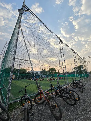 Turf photo 2