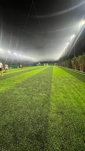 Turf photo 5