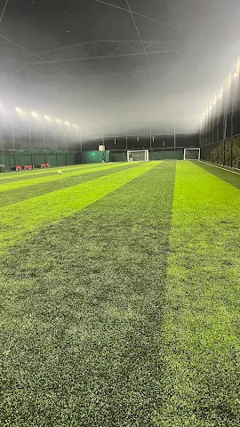 Turf photo 3