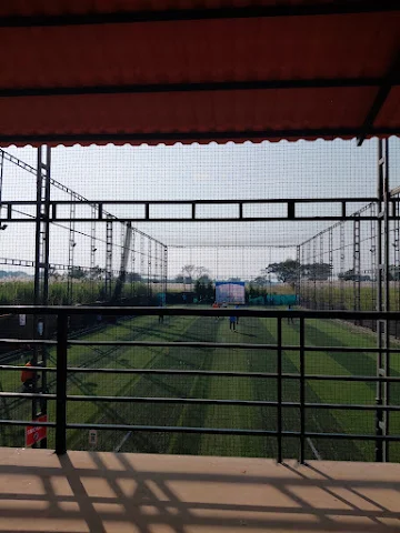 Turf photo 2