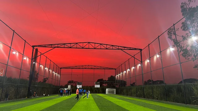Sportingo Turf Large