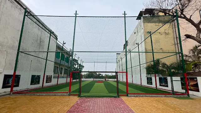 Turf photo 2