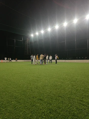 Turf photo 3