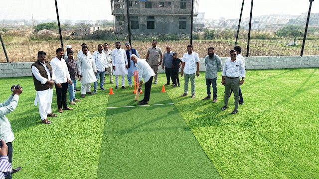 Turf photo 2