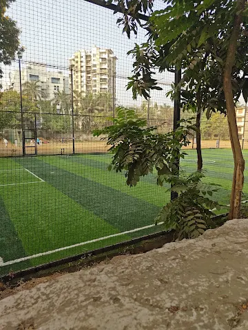 Turf photo 2