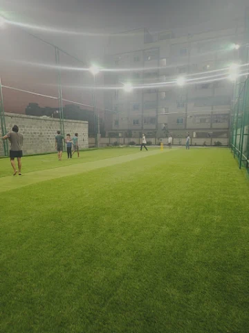 Turf photo 2