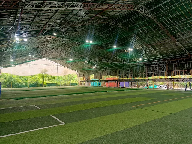 Turf photo 4