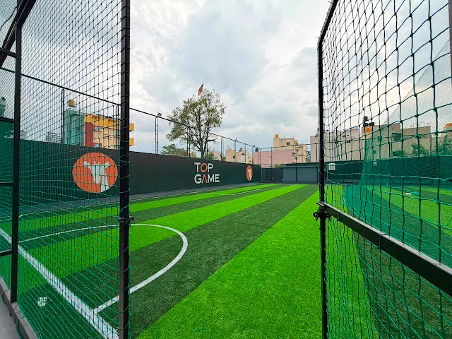 Turf photo 3