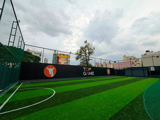 Turf photo 2