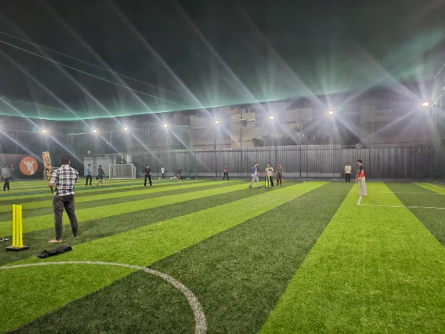 Turf photo 5