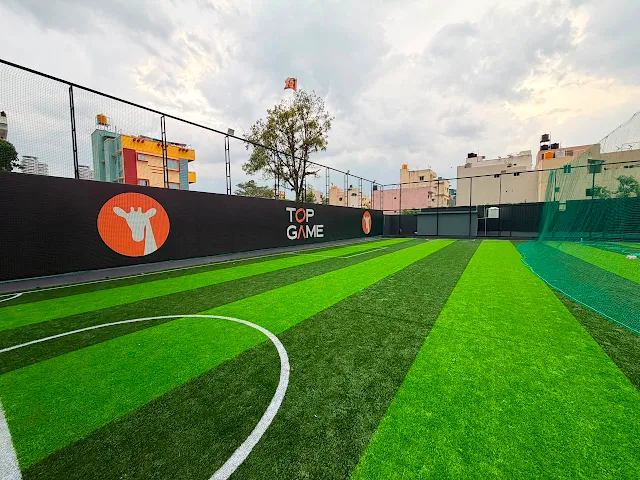 Turf photo 4