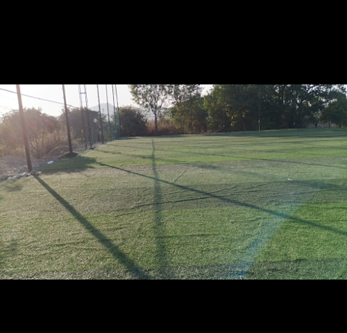 Turf photo 5