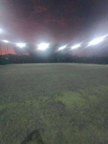 Turf photo 2