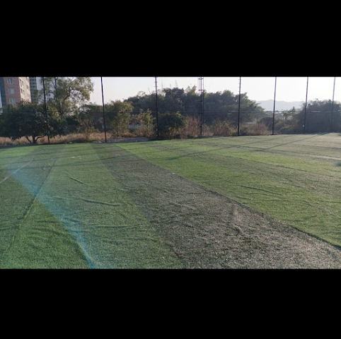 Turf photo 4