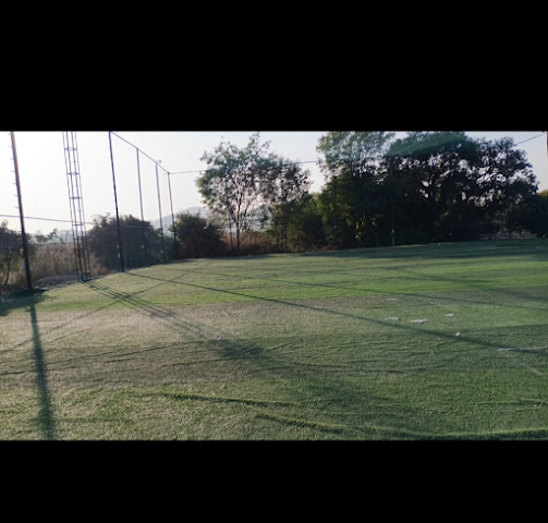 Turf photo 6