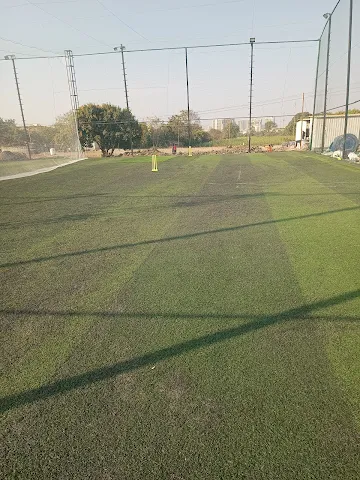 Turf photo 7
