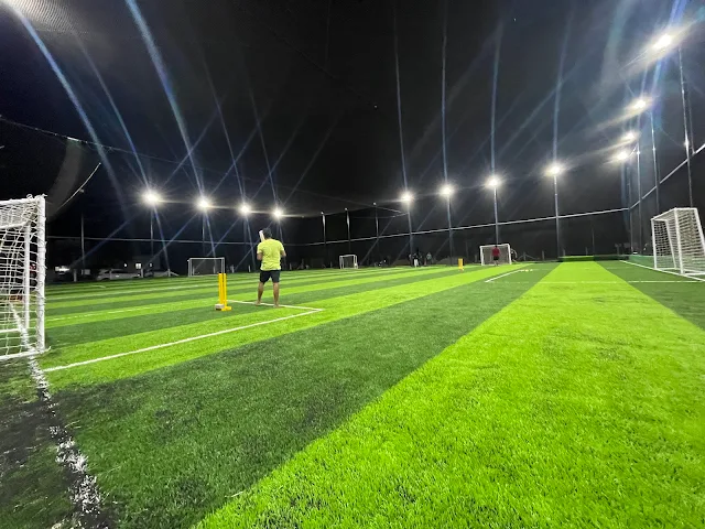 Turf photo 2