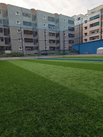 Turf photo 4