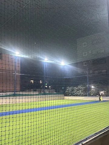 Turf photo 3