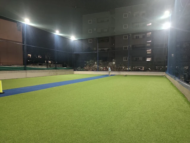 Turf photo 6