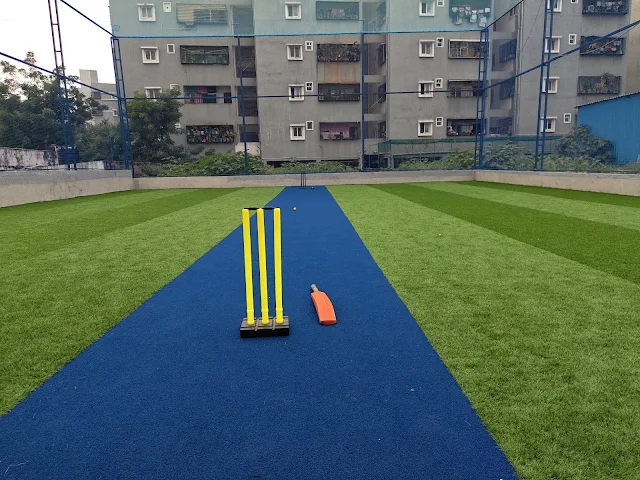 Turf photo 2