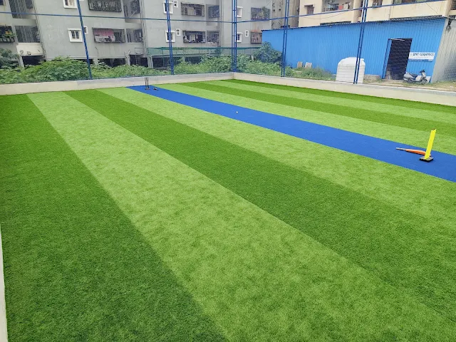 Turf photo 5