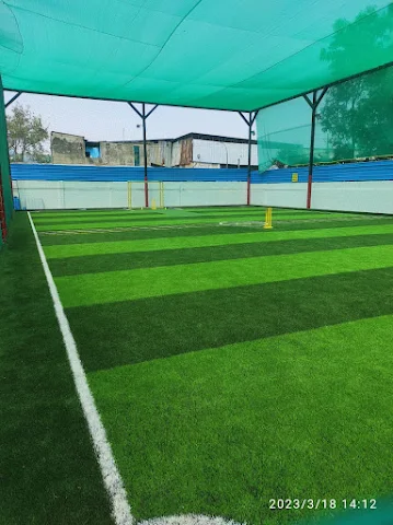 Turf photo 2